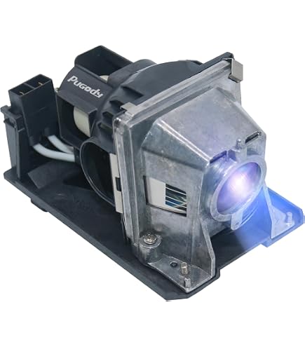 Amazon.com: NP13LP Replacement Lamp Bulb with Housing for NEC NP